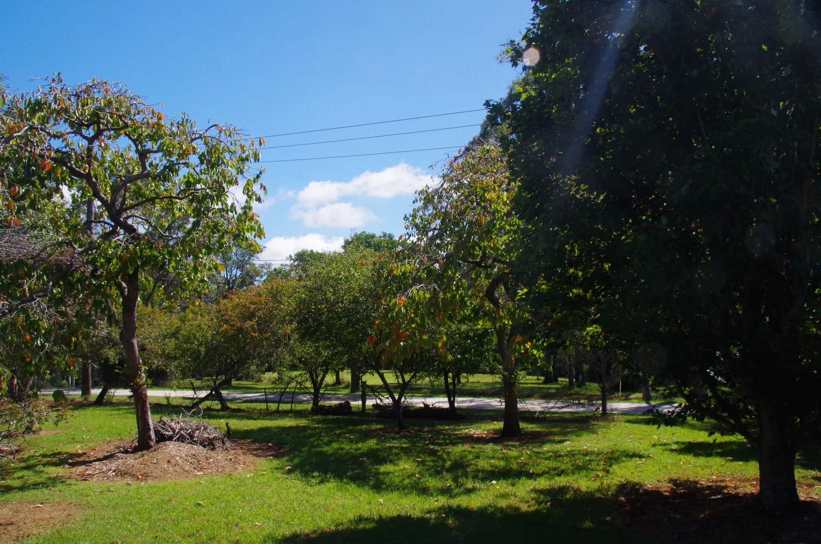 Additional image 5 of 29A Yuulong Road, Tamborine Mountain QLD 4272