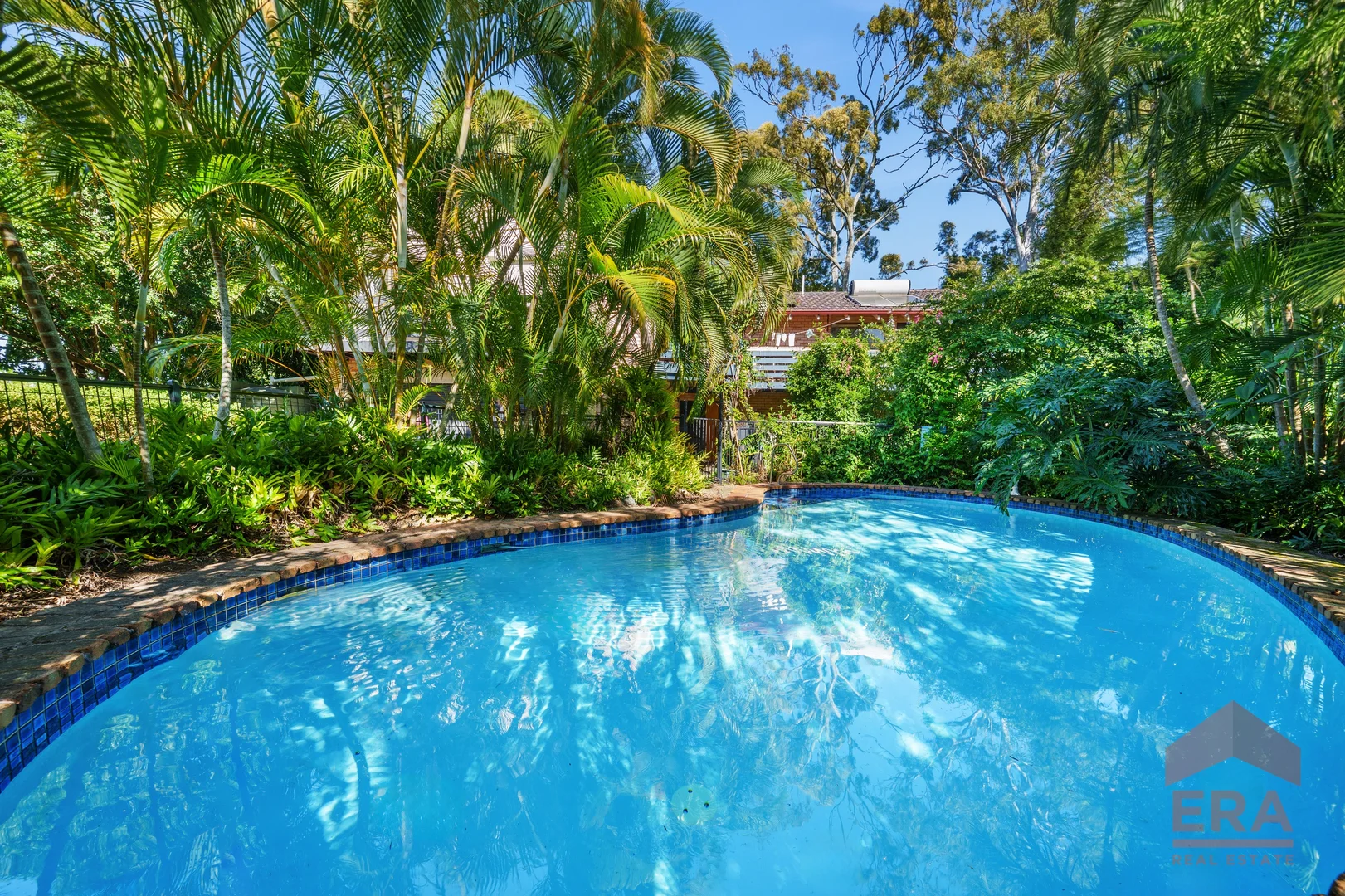 7 Bunya Place, Palm Beach QLD 4221 photo 4
