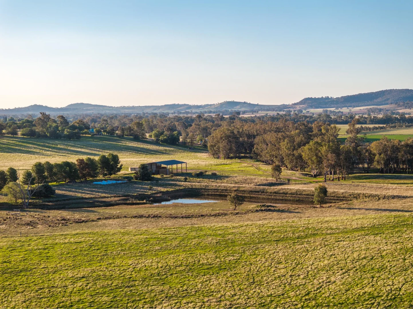 Additional image 16 of 261 Paper Forest Road, Mangoplah NSW 2652