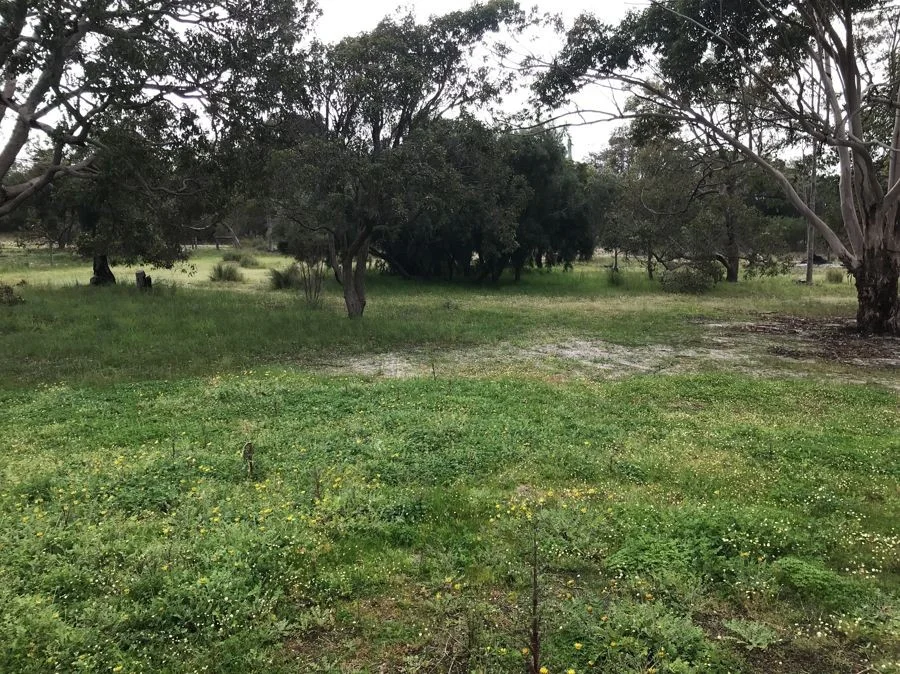 Additional image 19 of 79 Elinor Bell Road, Leschenault WA 6233