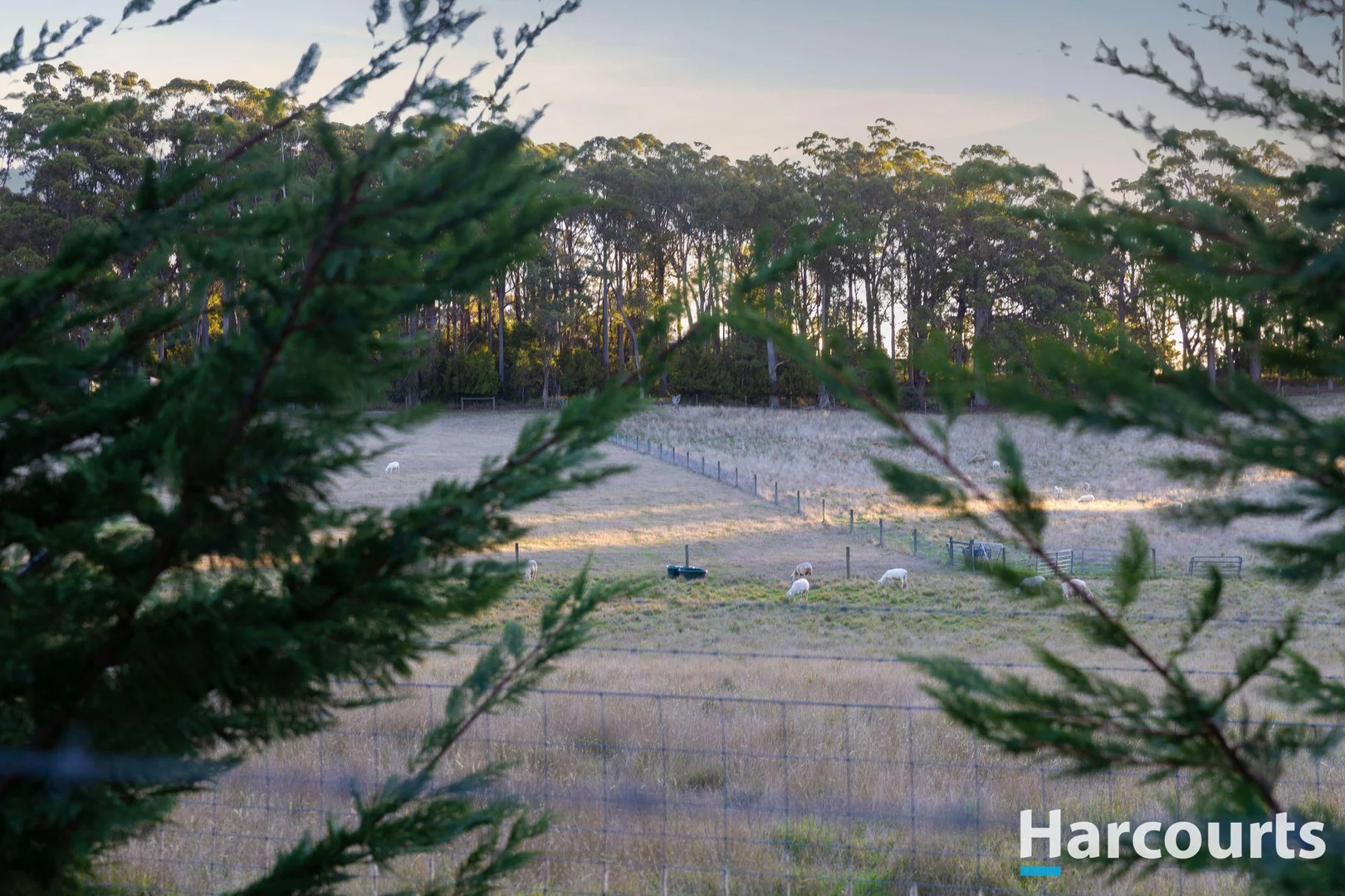 Additional image 29 of 203A Palmers Road, Latrobe TAS 7307