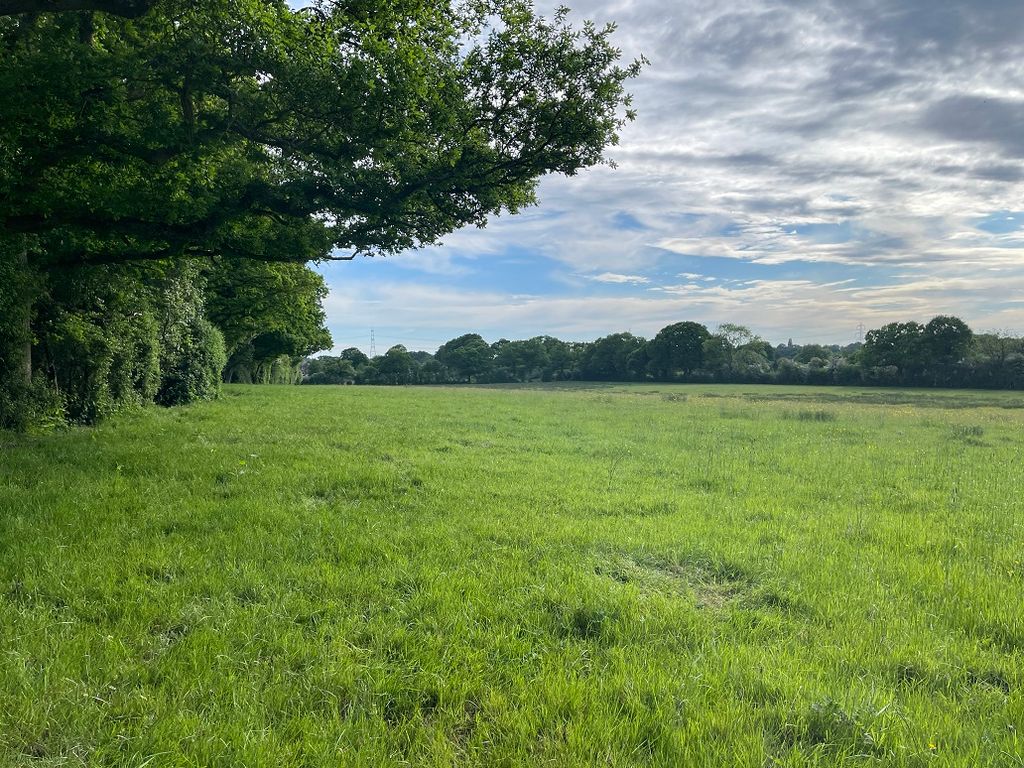 Land for salePopes Lane, Lower Upham SO32 photo 4
