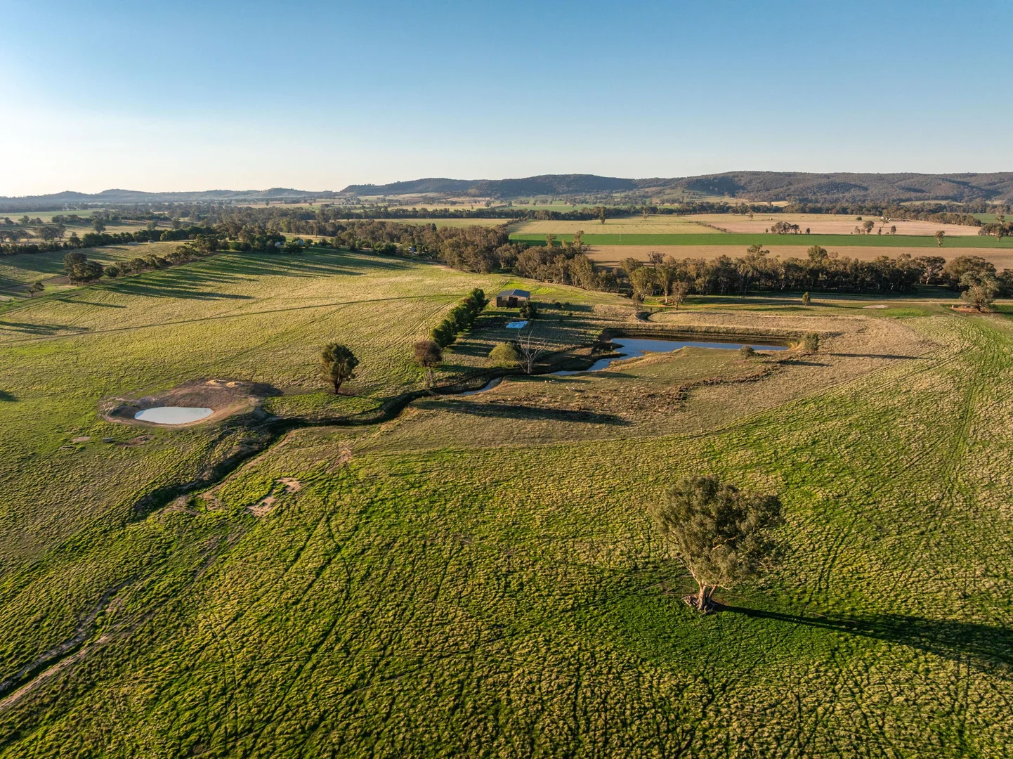 Additional image 18 of 261 Paper Forest Road, Mangoplah NSW 2652