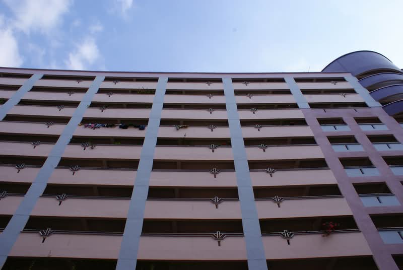 Additional image 21 of 296C Choa Chu Kang Avenue 2