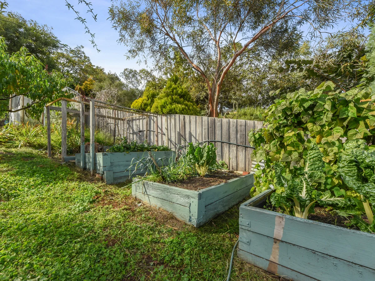 Additional image 41 of 167 George Street, Launceston TAS 7250