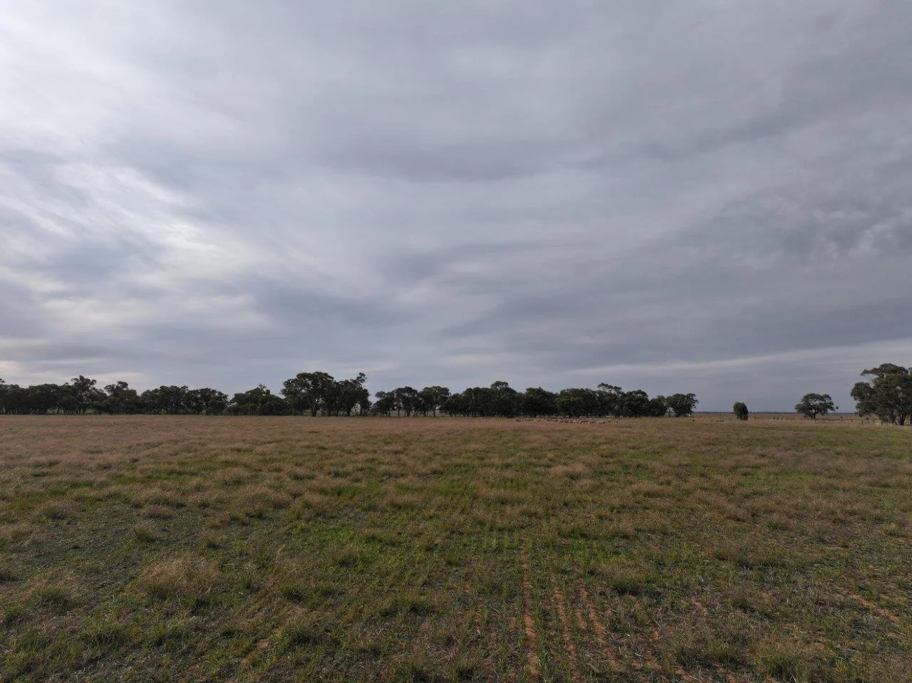 Additional image 7 of CA, 157 Borung Hurstwood Road, Borung VIC 3518