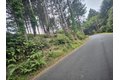 745 Spring Rd, Shelter Cove, CA, 95589 photo 3