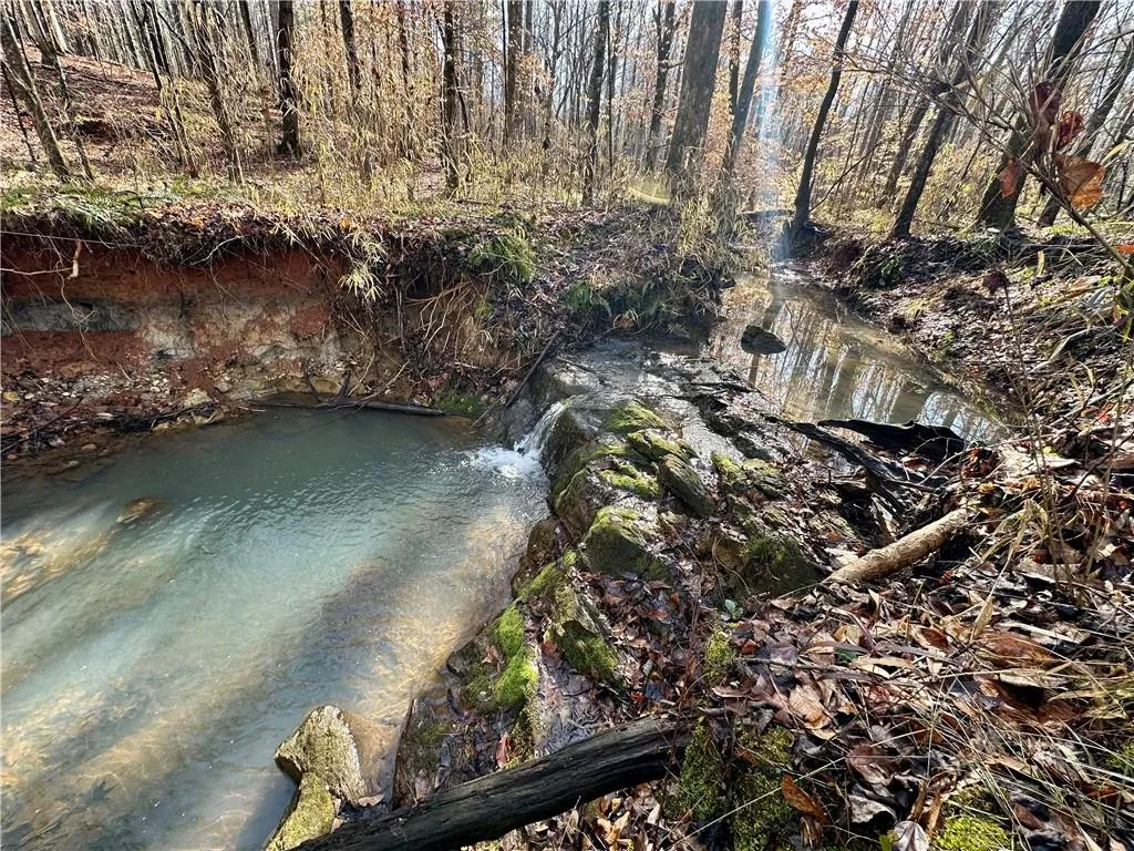 Additional image 2 of Lee Rd 278, Salem, AL 36874