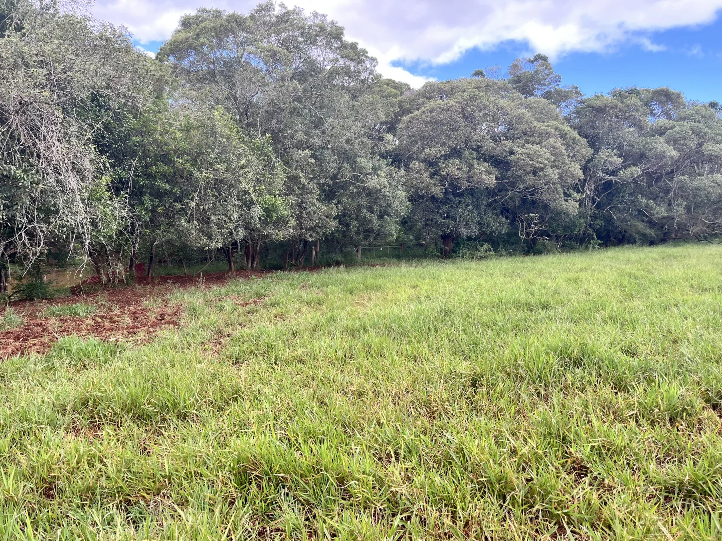 Additional image 14 of Lot 2 Lake Barrine Road, Lake Eacham QLD 4884