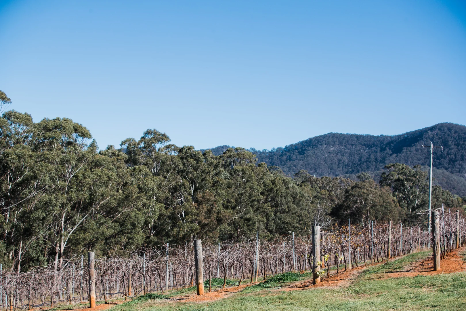 Additional image 15 of 638 De Beyers Road, Pokolbin NSW 2320