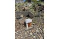 Additional image 26 of 342 Sole Rd, Selah, WA, 98942