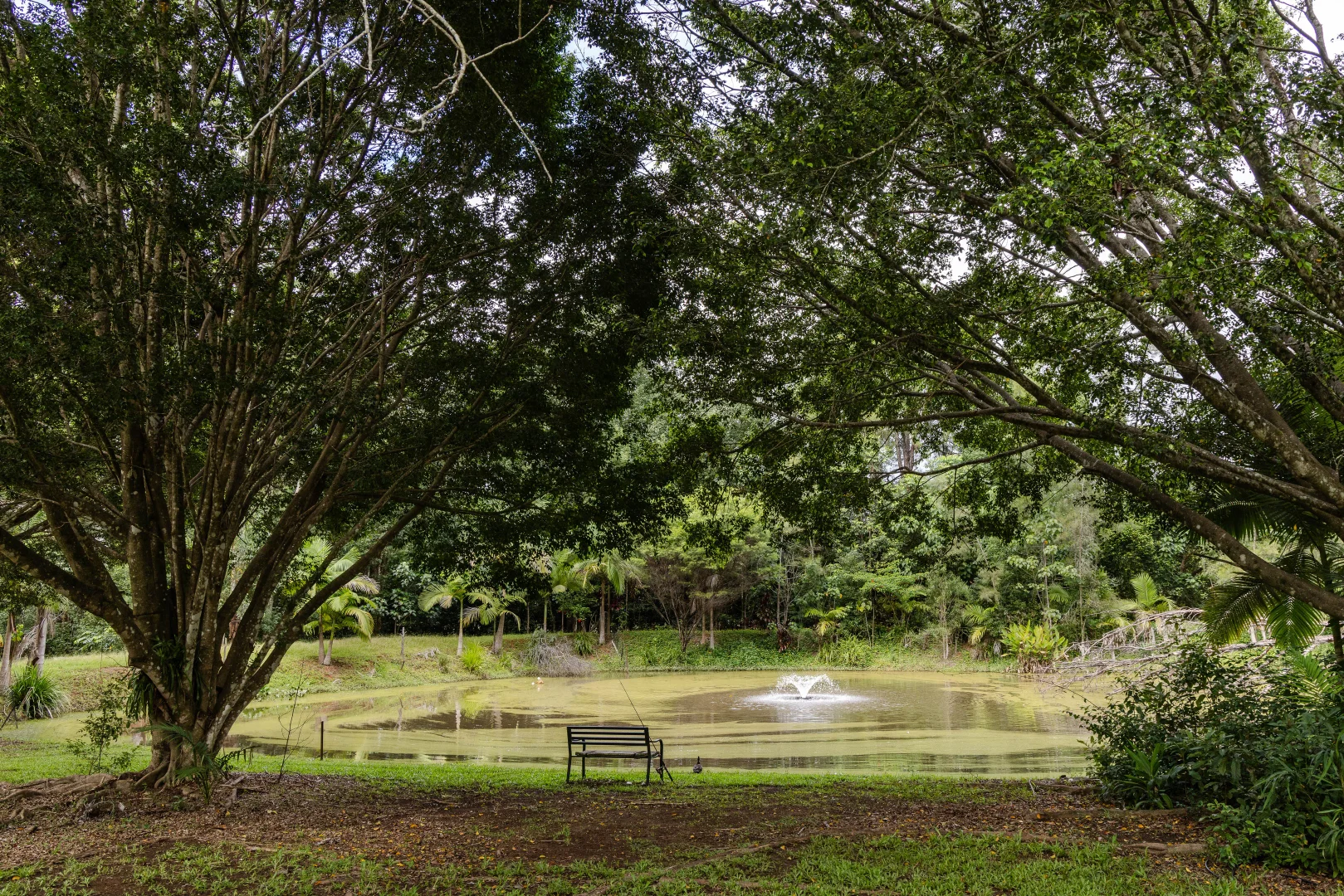 Additional image 36 of 15-31 Neeraway Road, Eerwah Vale QLD 4562