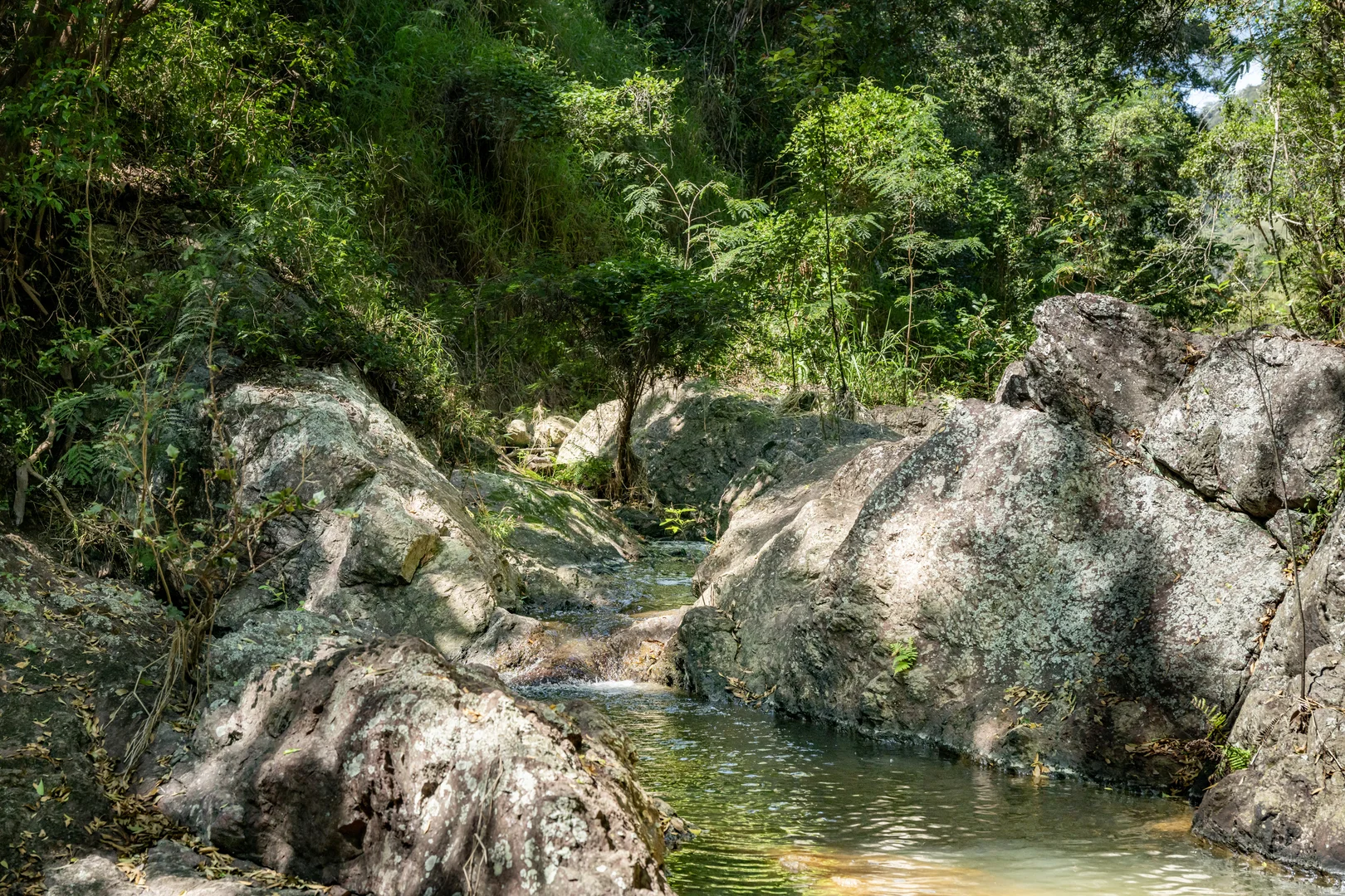 Additional image 11 of 55 Jerry Creek Road, Langshaw QLD 4570