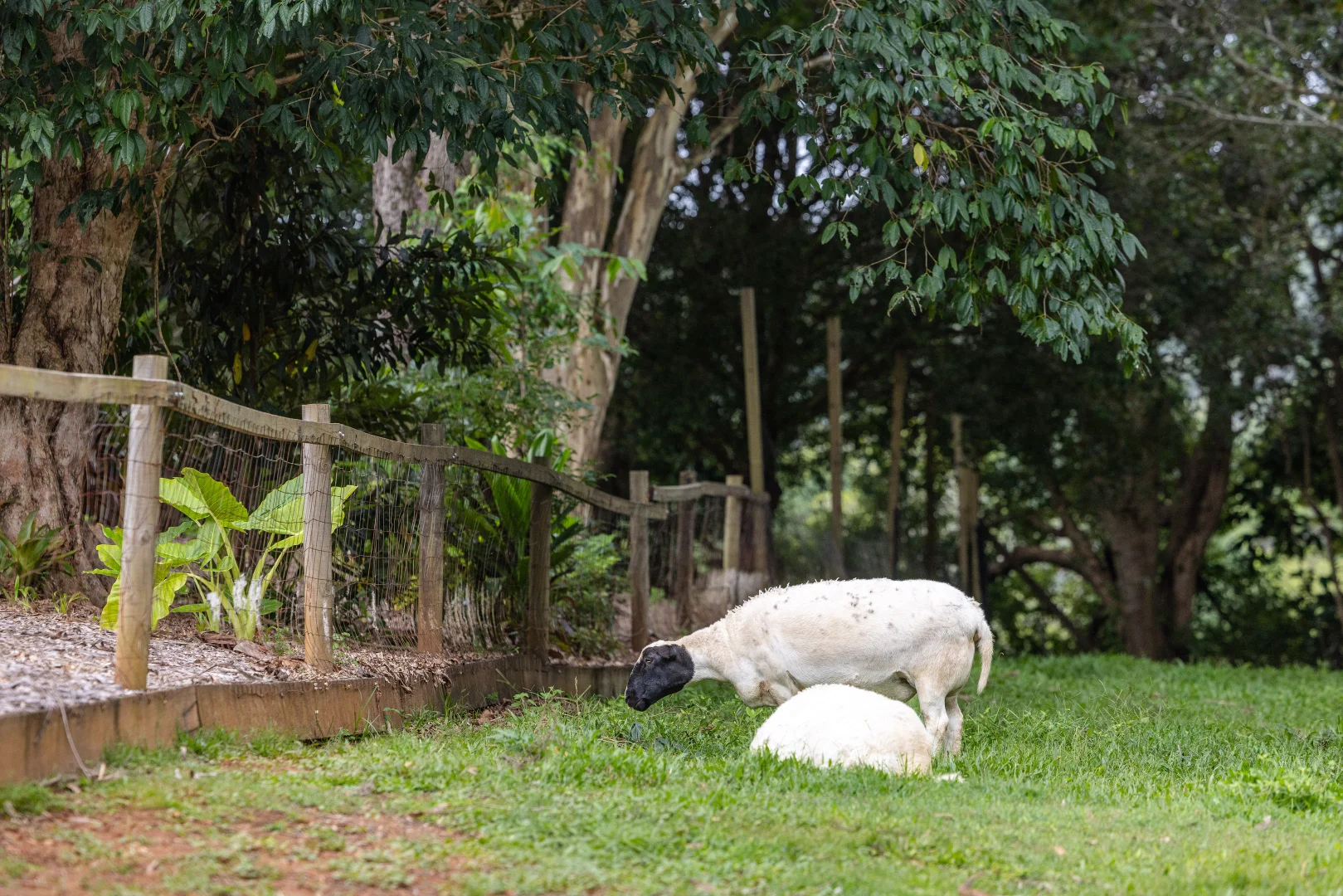 Additional image 15 of 15-31 Neeraway Road, Eerwah Vale QLD 4562