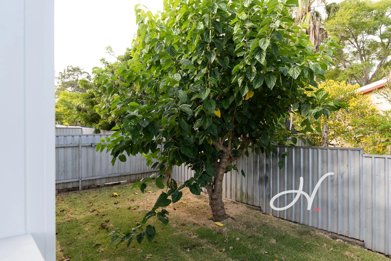 Additional image 22 of 1/19 Allendale Street, Beresfield NSW 2322