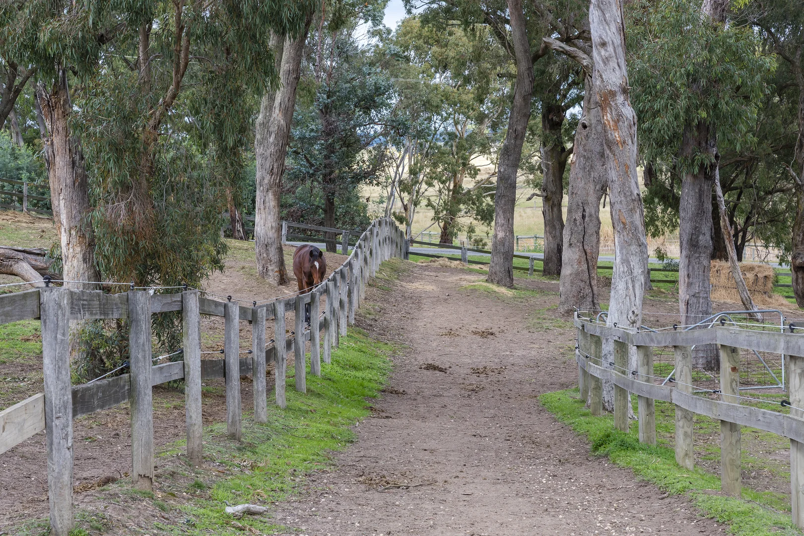 Additional image 14 of 60 Parkview Drive, Lancefield VIC 3435