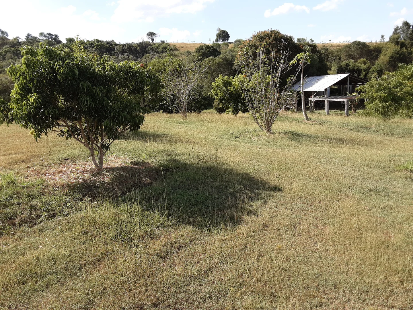 Additional image 20 of 120 Aplin Road, Bracewell QLD 4695