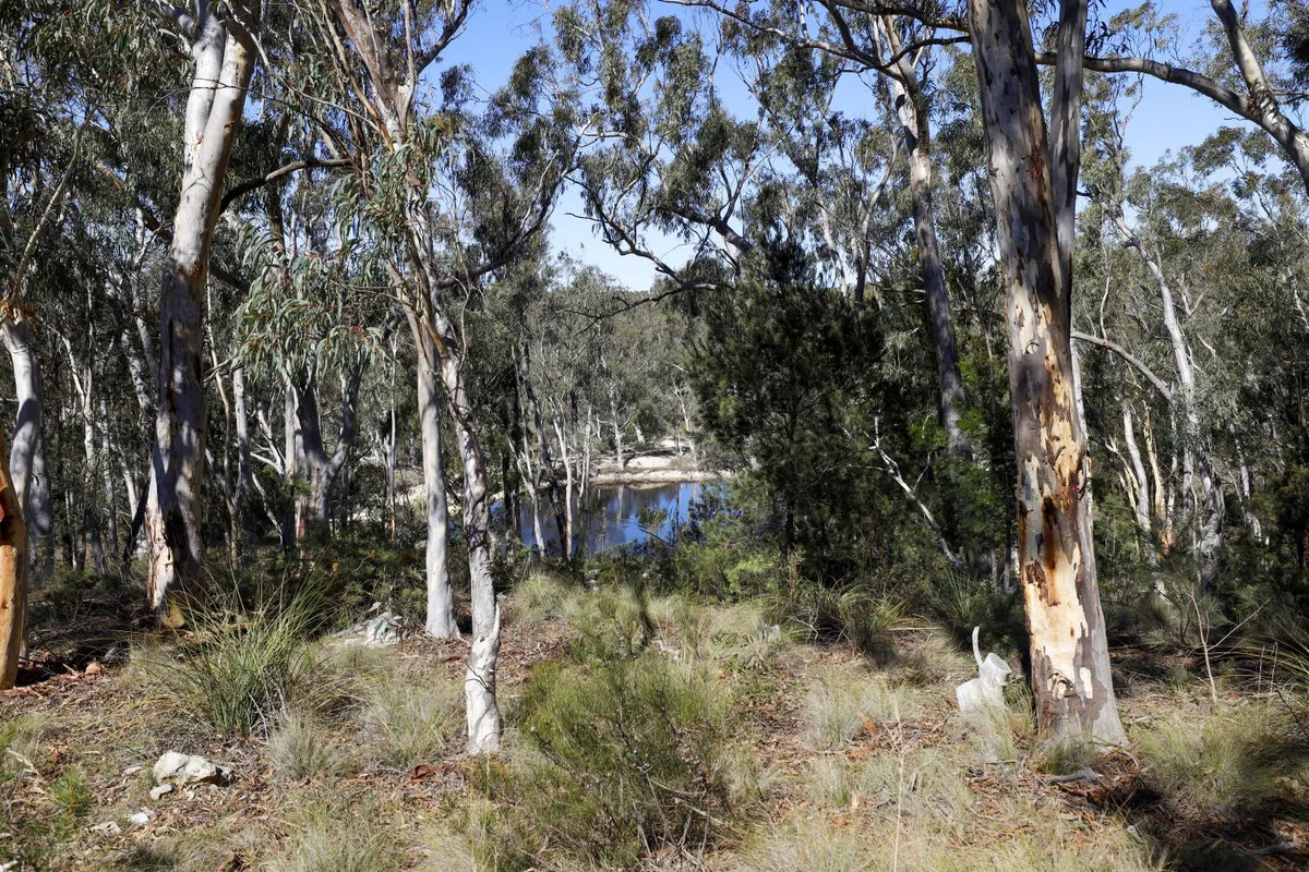 Additional image 19 of 726 Willow Glen Road, Lower Boro NSW 2580