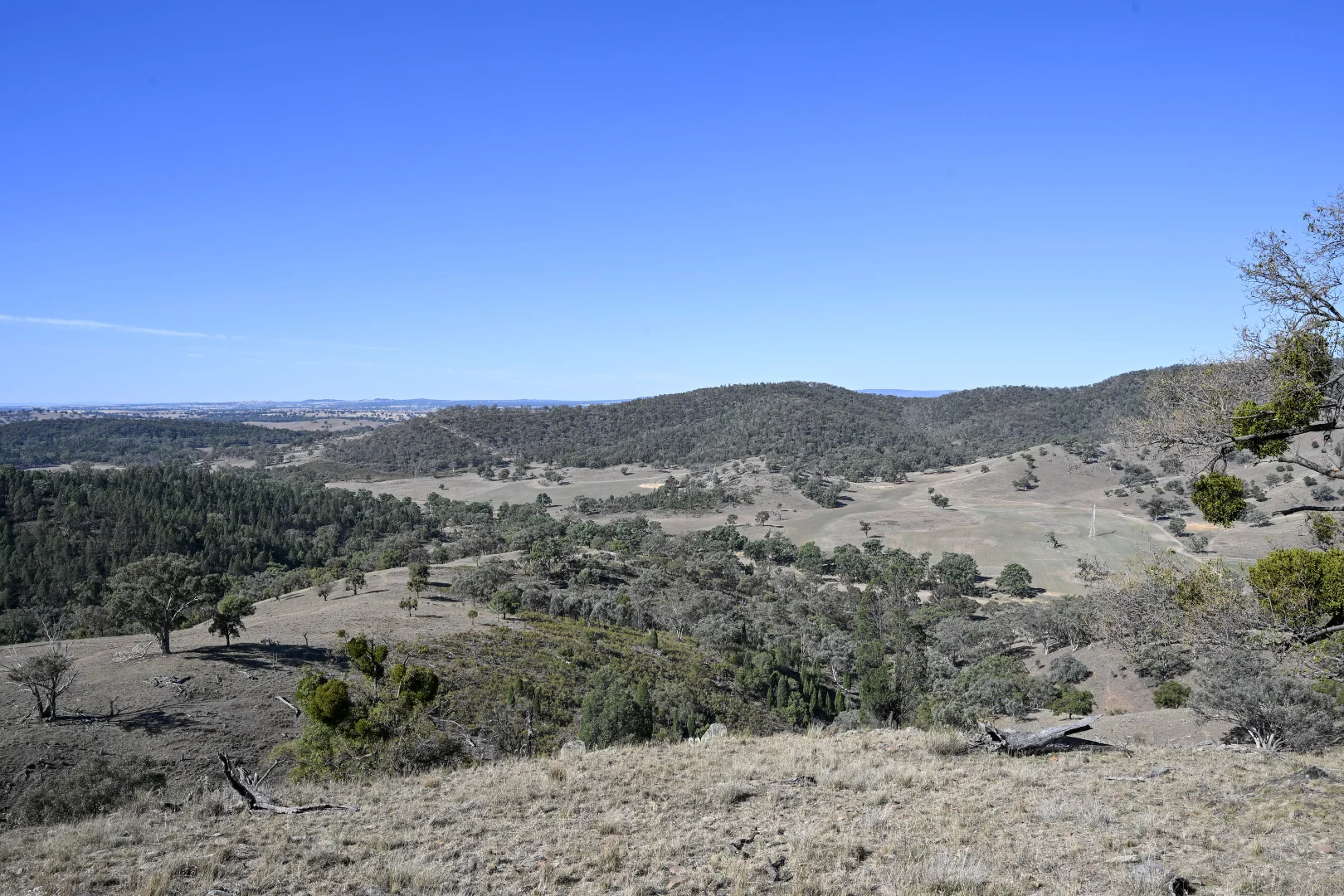 Gulgong NSW 2852 photo 3