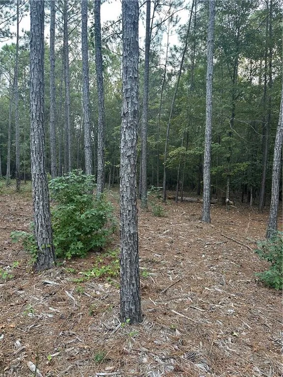 Additional image 10 of Lee Rd 288, Smiths Station, AL 36877