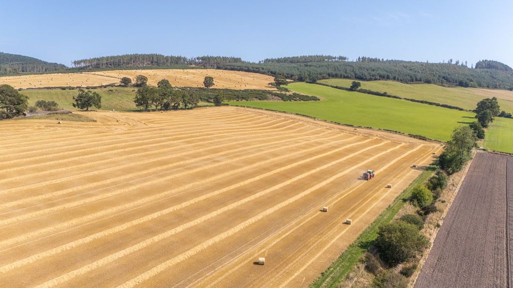 Additional image 9 of Land for saleWester Moy Farm, Muir Of Ord, Ross-Shire IV6