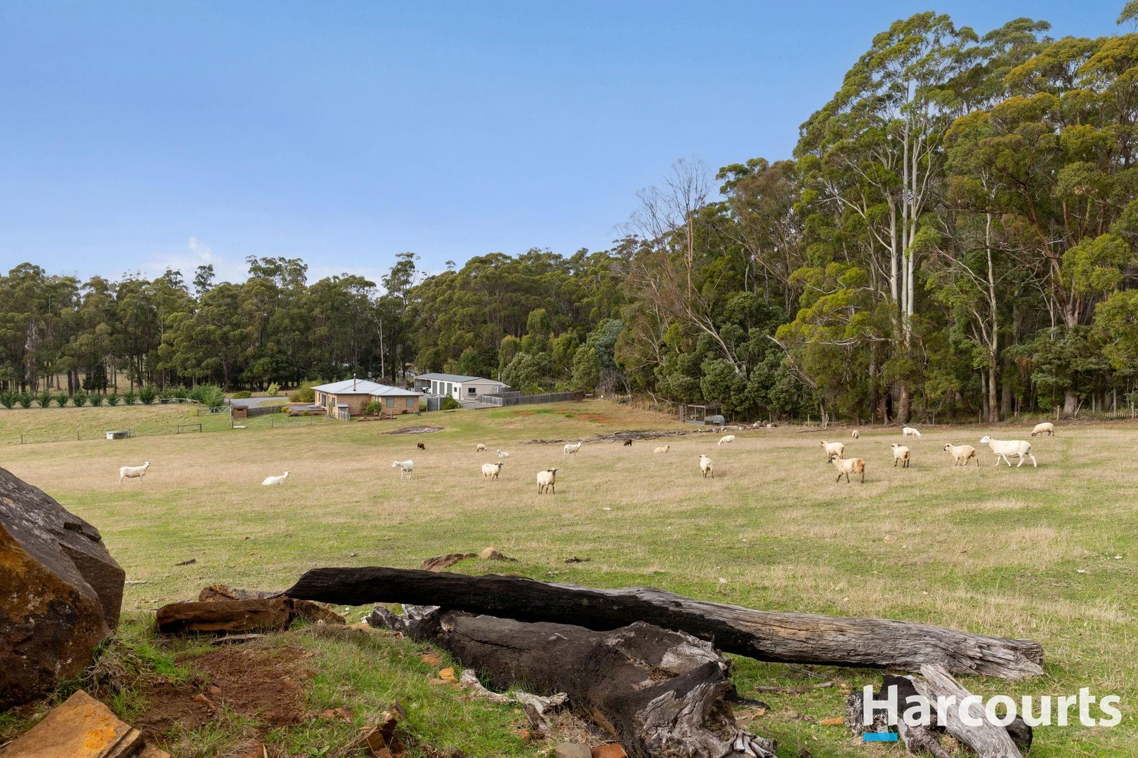 Additional image 37 of 203A Palmers Road, Latrobe TAS 7307