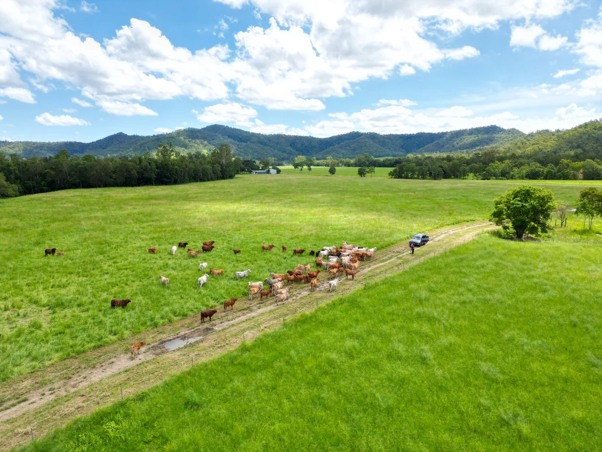 Additional image 10 of 353 Pinnacle-Septimus Road, Pinnacle QLD 4741