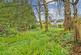 Additional image 36 of 29 Dalmore Crescent, Helensburgh, G84 8JP