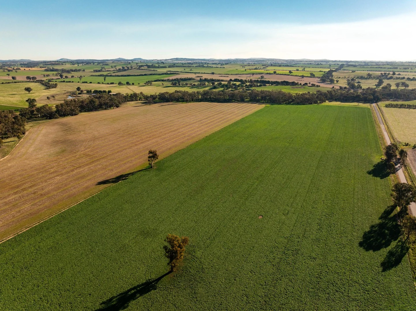 261 Paper Forest Road, Mangoplah NSW 2652