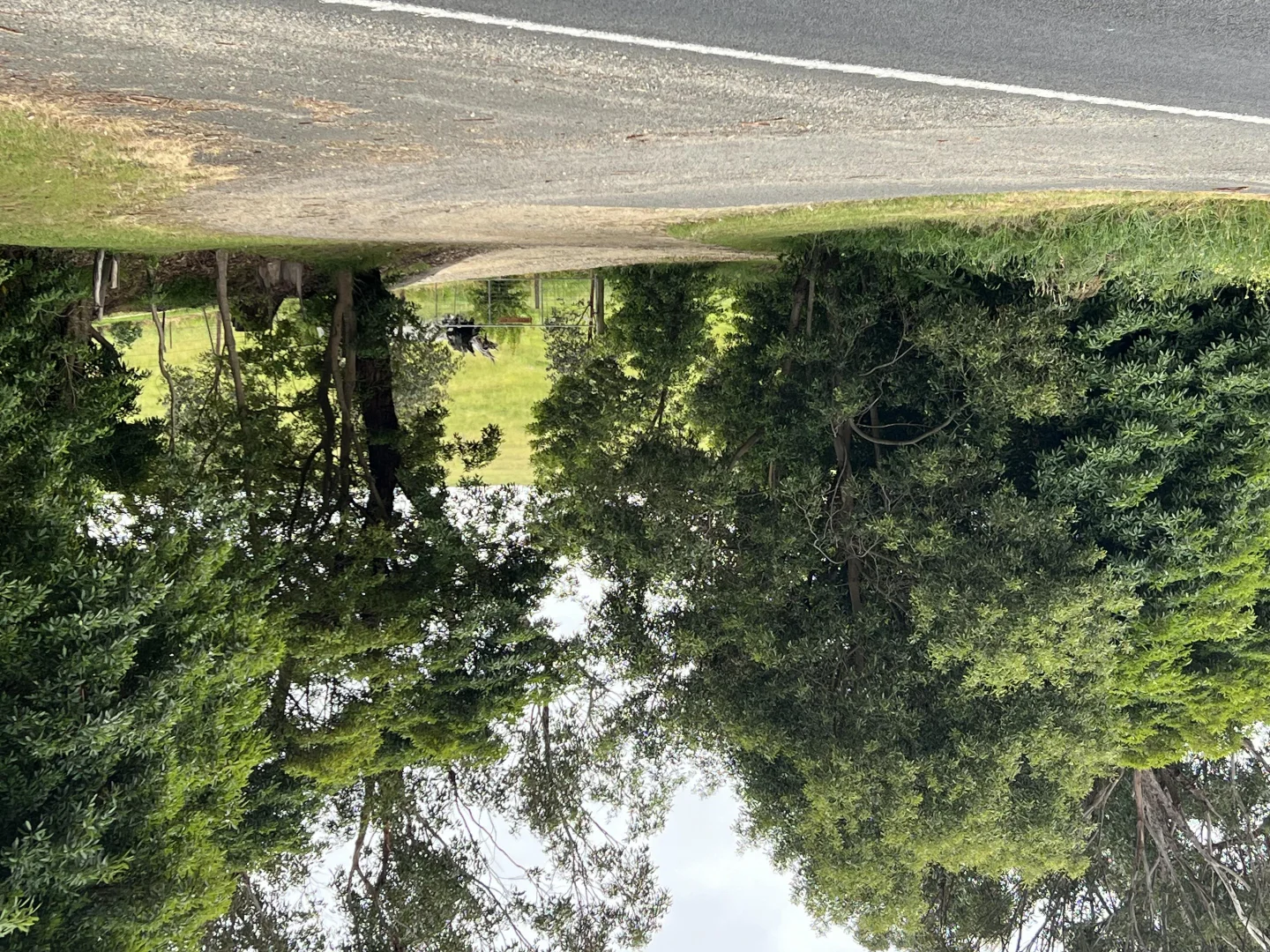 Additional image 7 of 471 Princes Highway, Orbost VIC 3888