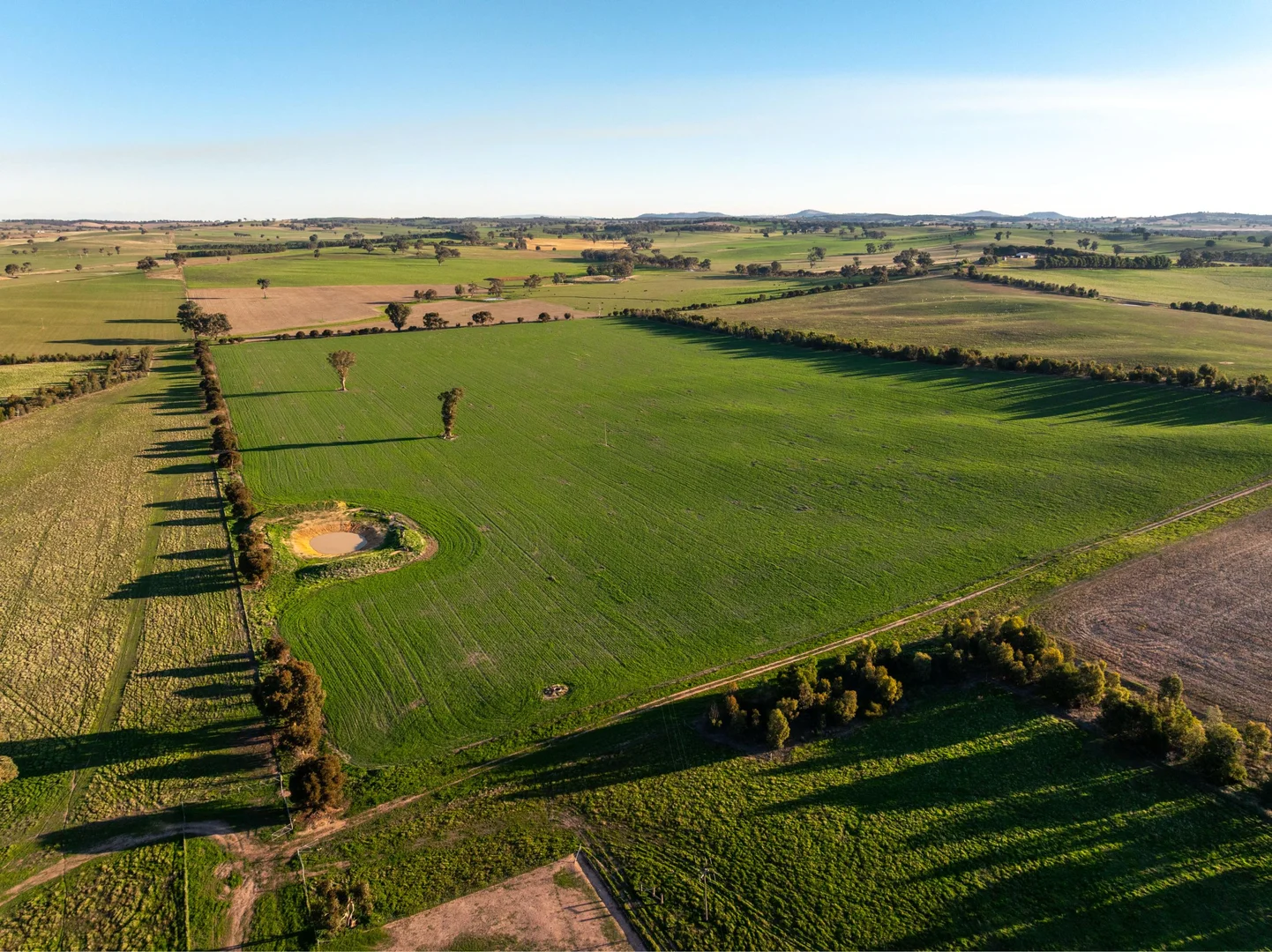 Additional image 19 of 261 Paper Forest Road, Mangoplah NSW 2652