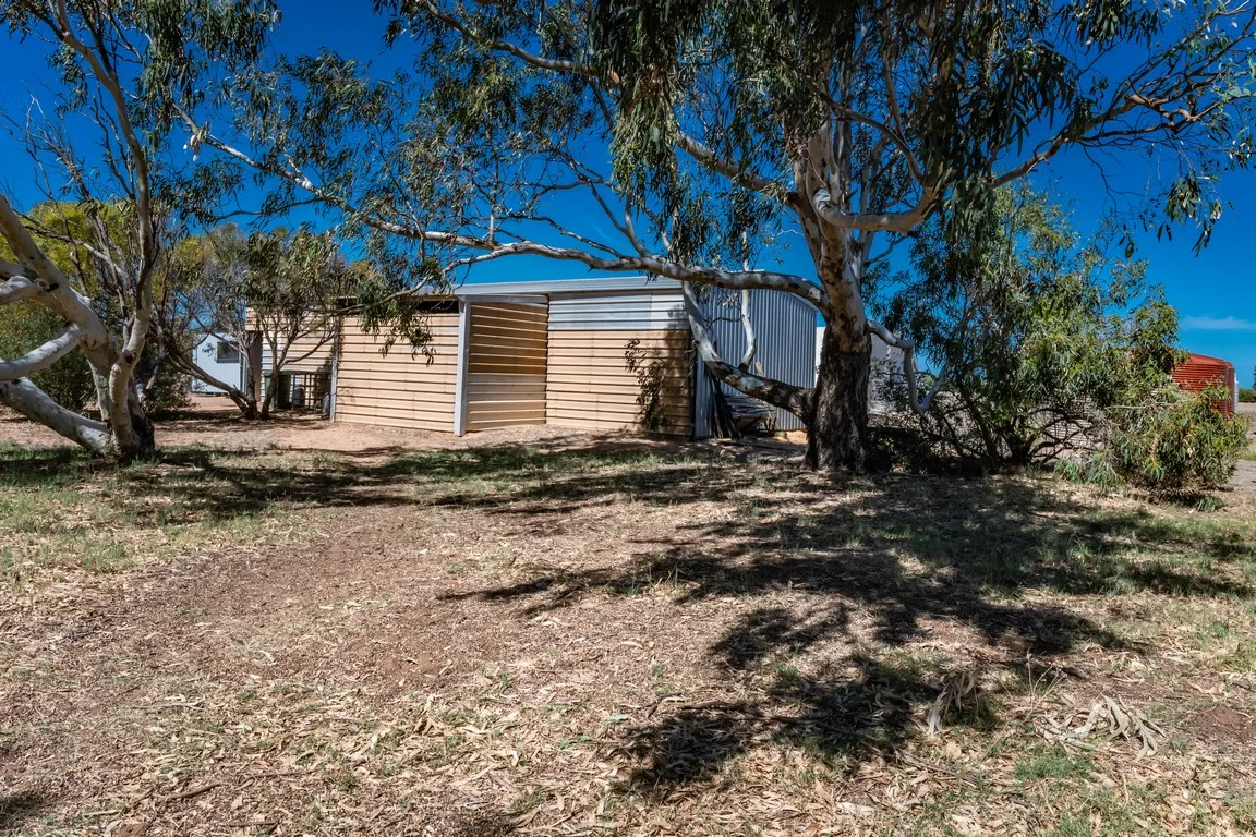 Additional image 31 of 124 Hamersley Road, Walkaway WA 6528