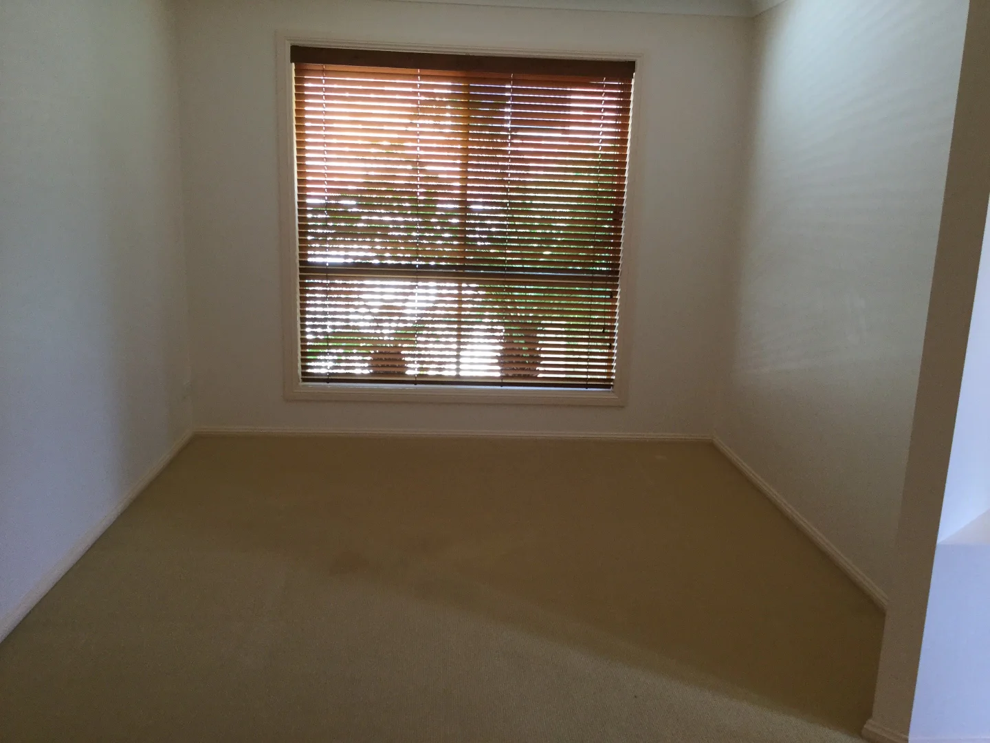 Additional image 3 of 14 Albion Place, Orange NSW 2800