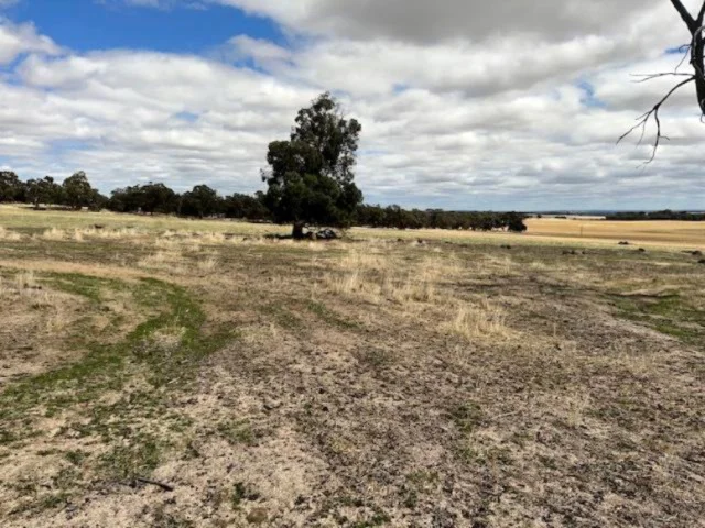 Additional image 9 of 351 Cooke Road, East Popanyinning WA 6309