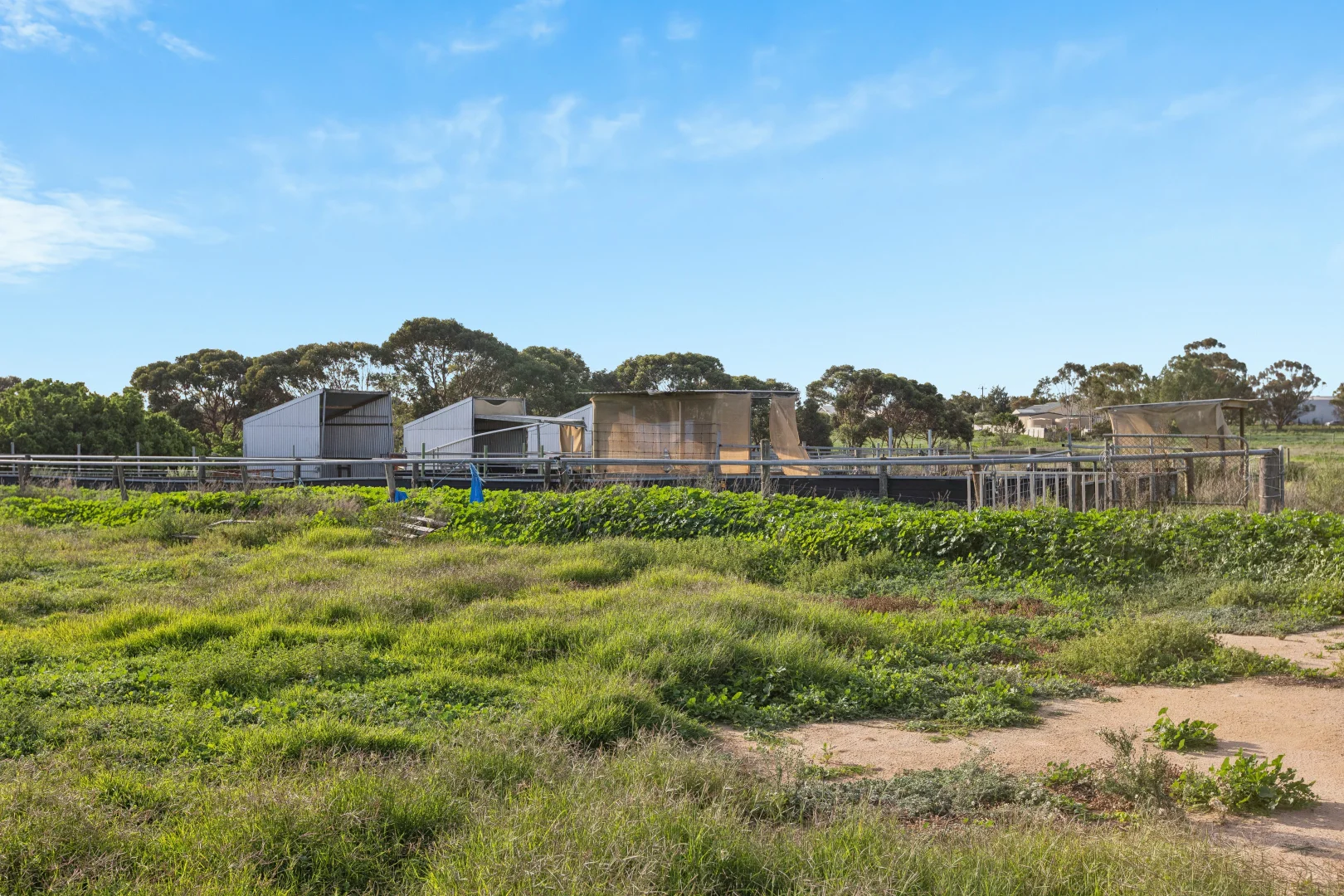 Additional image 21 of 40 Old Swanport Road, Murray Bridge SA 5253