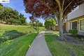 Additional image 50 of 263 Famoso Plz, Union City, CA, 94587
