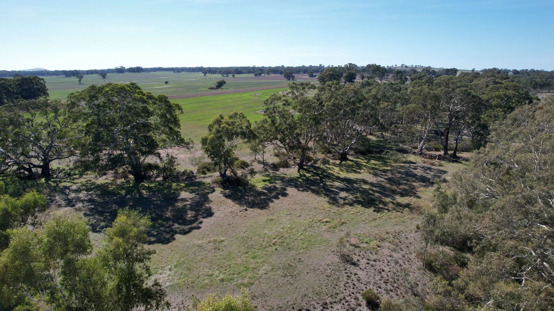 Additional image 5 of 53 Plantation Road, Majorca VIC 3465