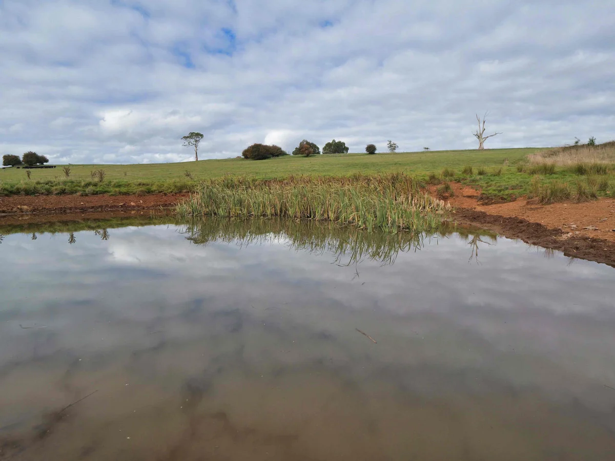 Additional image 8 of 17 Lemana Road, Red Hills TAS 7304
