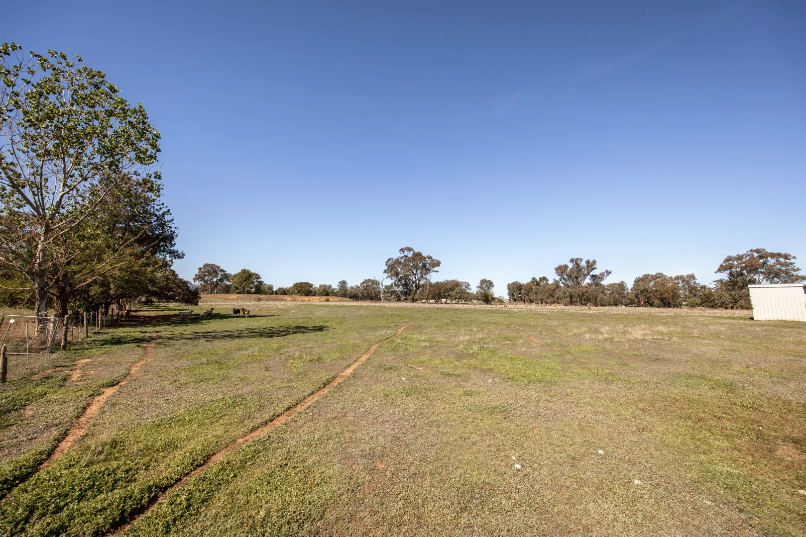 Additional image 5 of 1 Margaret Street, Gerogery NSW 2642