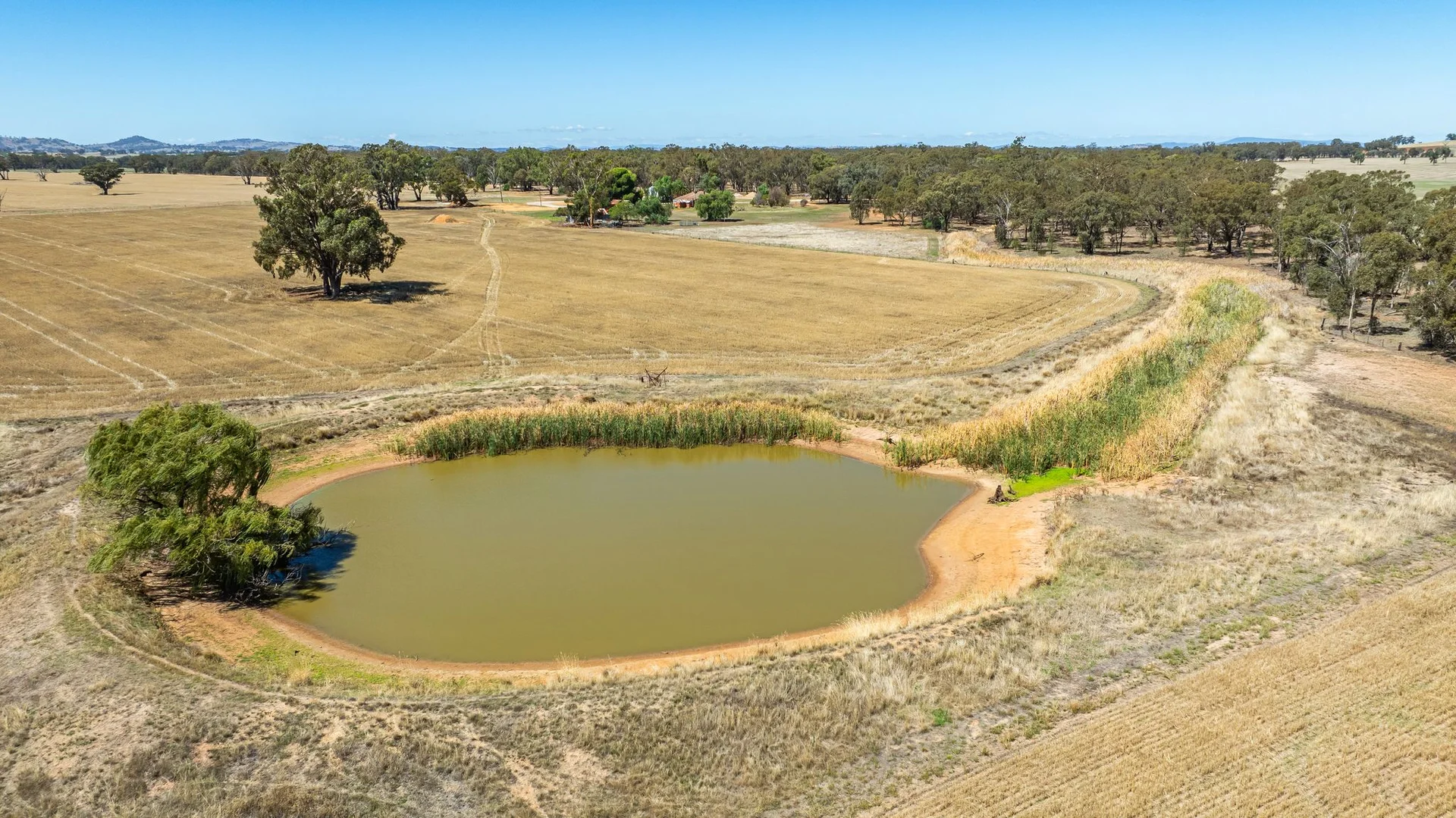 Additional image 14 of 1127 Grubben Road, Henty NSW 2658