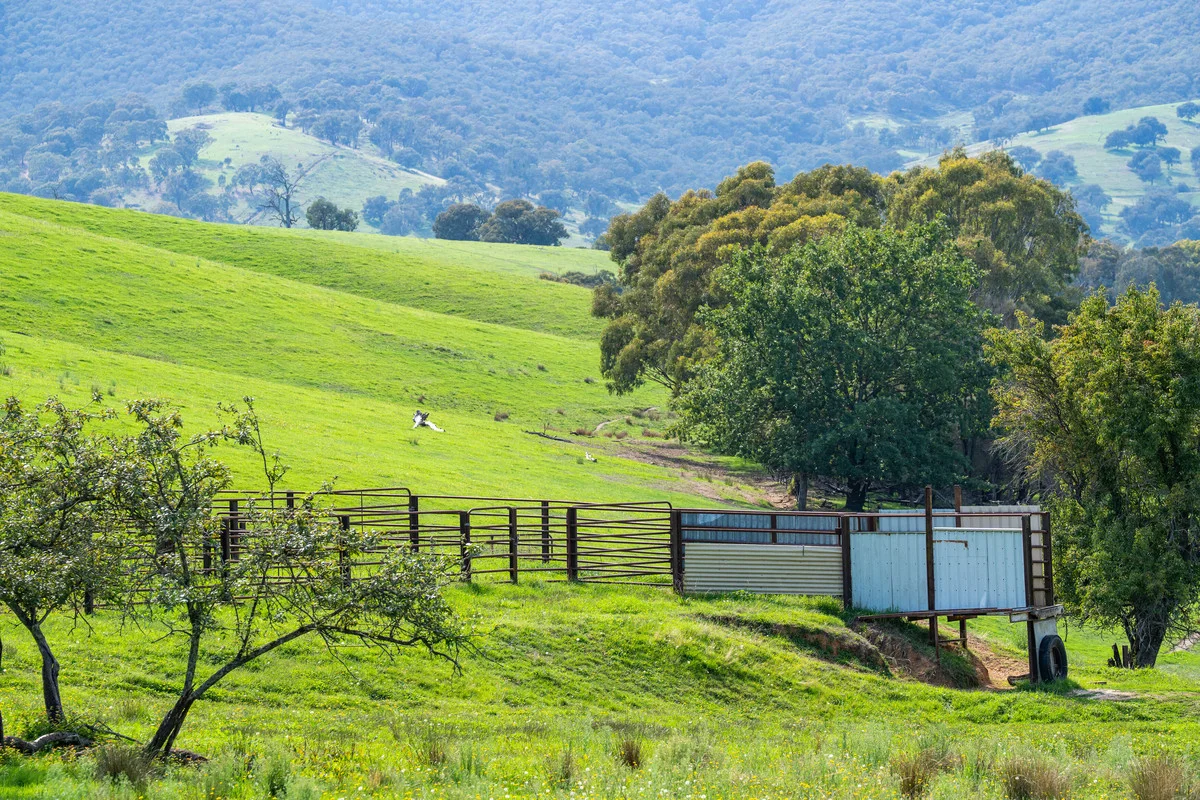 Additional image 17 of Sandy Creek Road, Sandy Creek VIC 3695