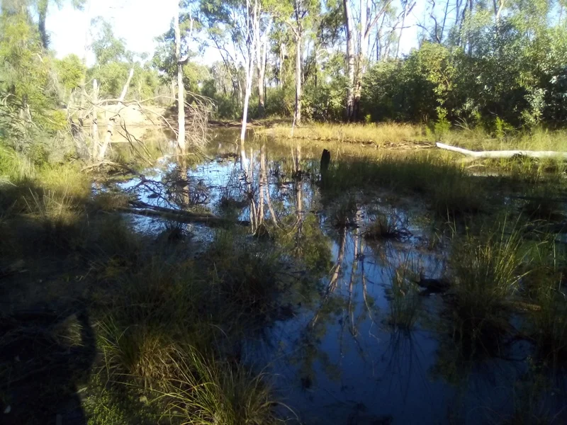 Additional image 6 of Lot 71 Males Drive, Tara QLD 4421