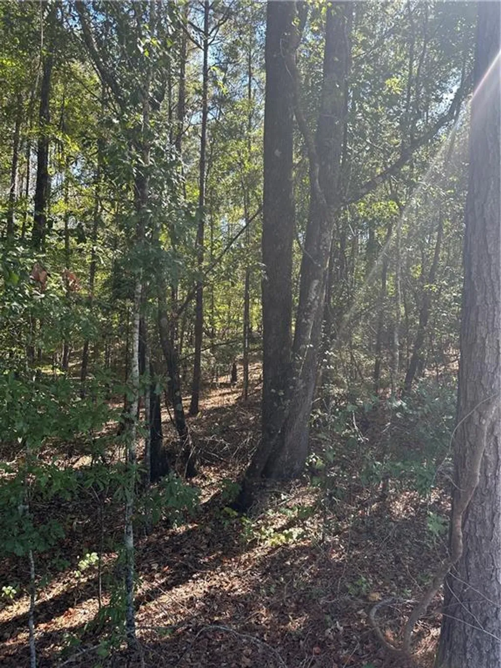 Additional image 6 of Lee Rd 288, Smiths Station, AL 36877