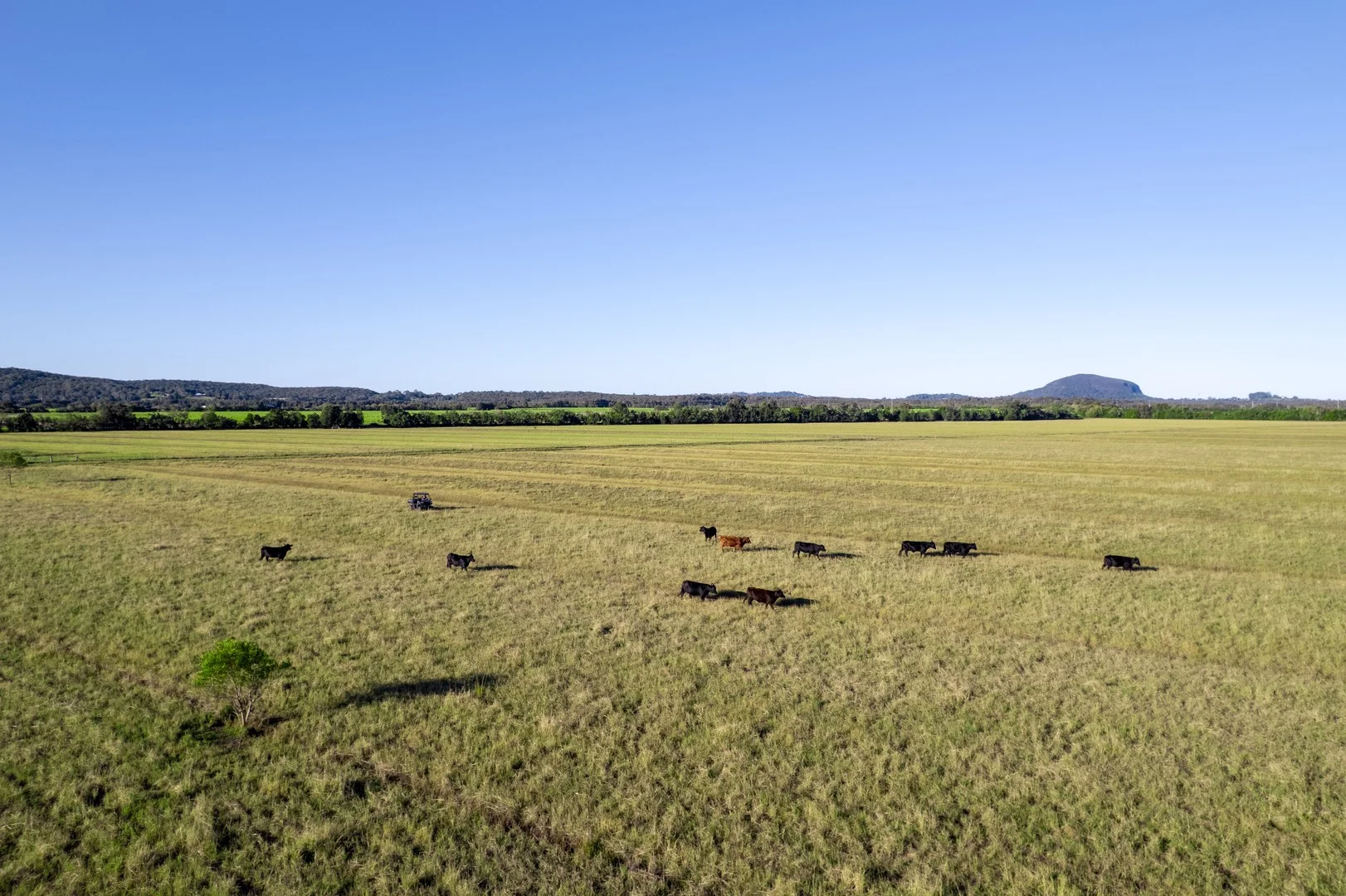 Additional image 5 of 54-64 Dynes Road, Valdora QLD 4561