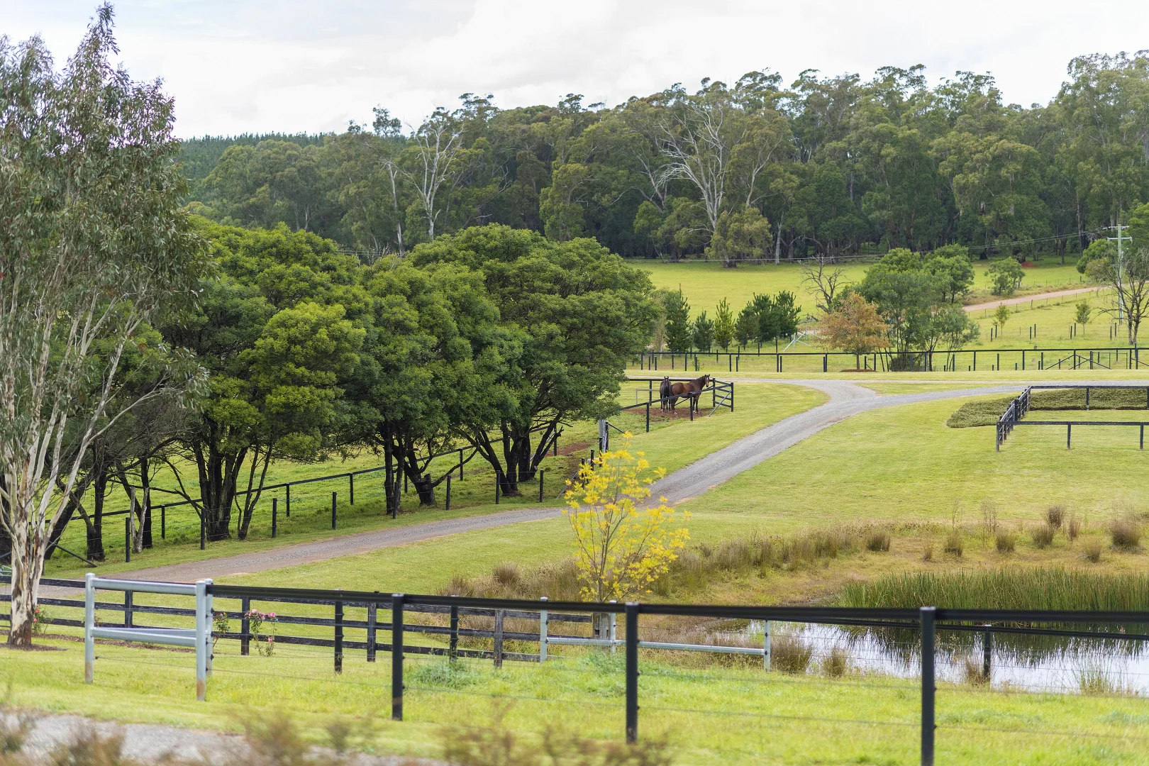 Additional image 21 of 108 Vinicombes Road, Tallong NSW 2579