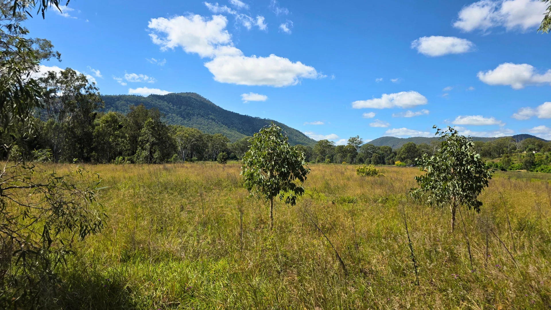 Gayndah - Mount Perry Road, Mount Perry QLD 4671