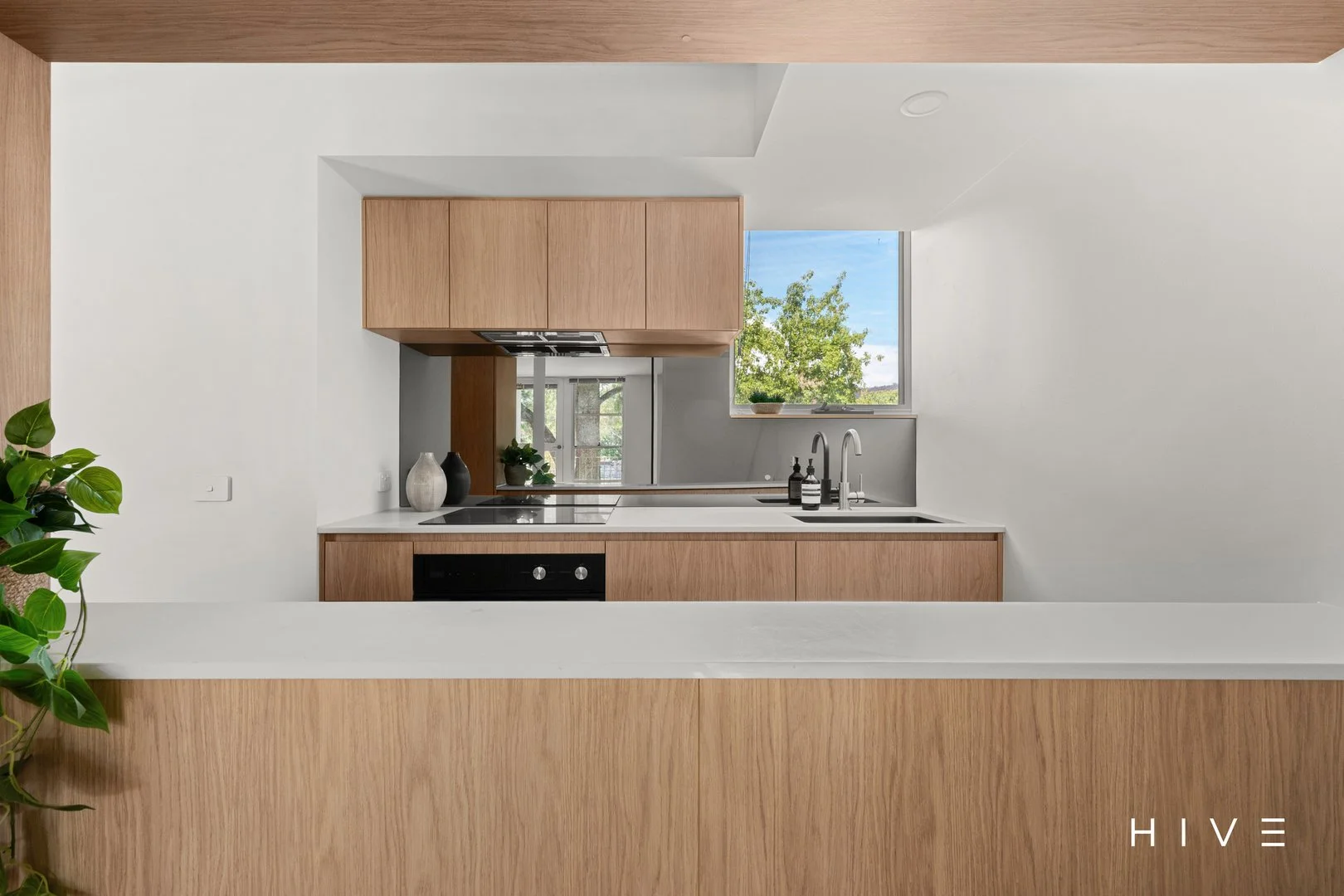 Additional image 17 of 264 Northbourne Avenue, Dickson ACT 2602