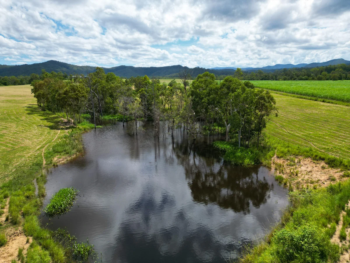 Additional image 4 of 353 Pinnacle-Septimus Road, Pinnacle QLD 4741