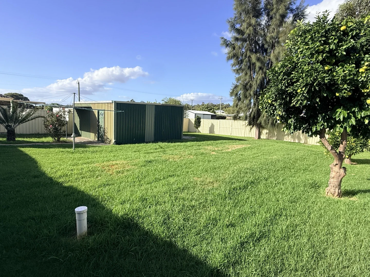 Additional image 22 of 4 Teesdale Street, Yarloop WA 6218