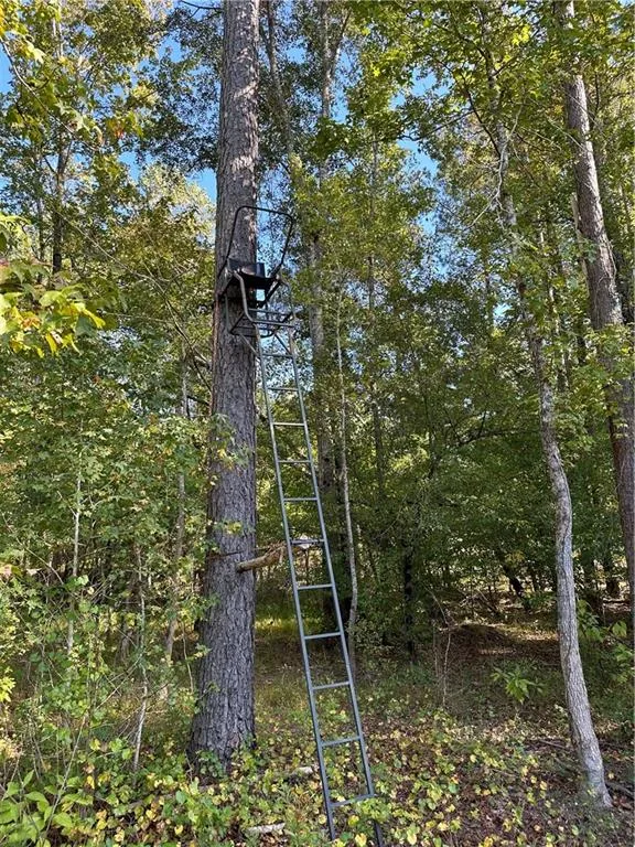 Additional image 28 of Lee Rd 334, Salem, AL 36874